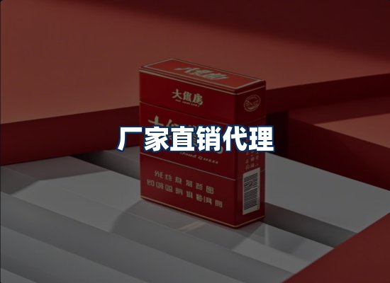 专业团队办公环境